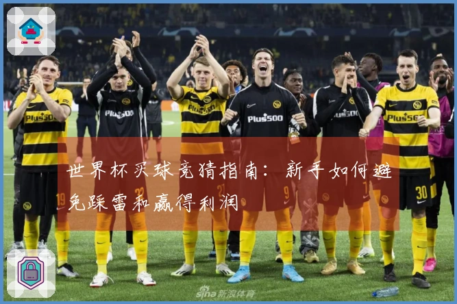 世界杯买球竞猜指南：新手如何避免踩雷和赢得利润
