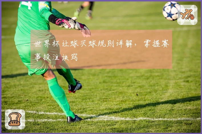 世界杯让球买球规则详解，掌握赛事投注诀窍