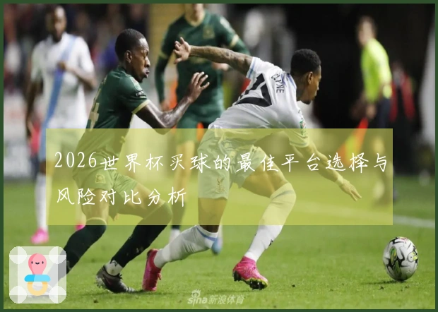2026世界杯买球的最佳平台选择与风险对比分析