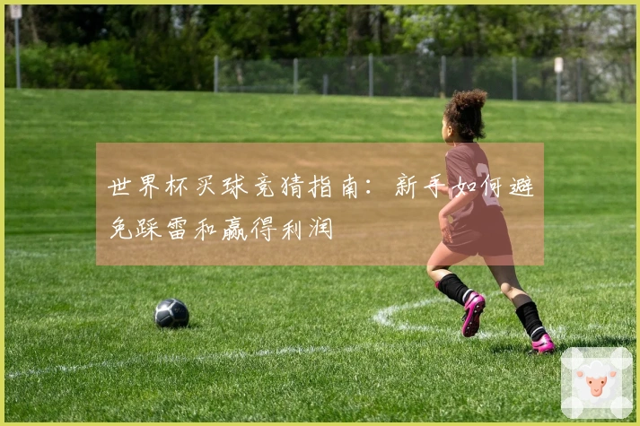 世界杯买球竞猜指南：新手如何避免踩雷和赢得利润