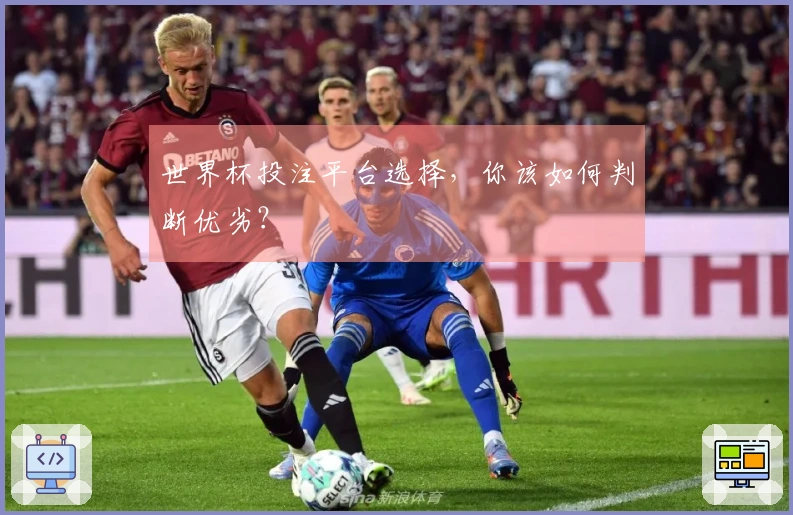 世界杯投注平台选择，你该如何判断优劣？