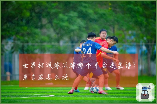 世界杯滚球买球哪个平台更靠谱？看专家怎么说