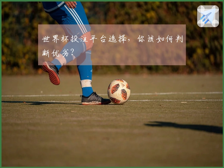 世界杯投注平台选择，你该如何判断优劣？